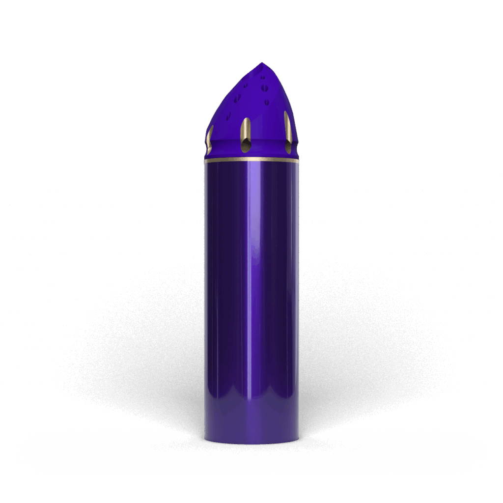 PilotGuideShoe FTR 0000