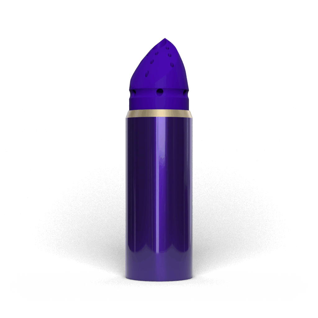 PilotGuideShoe LTR 0000