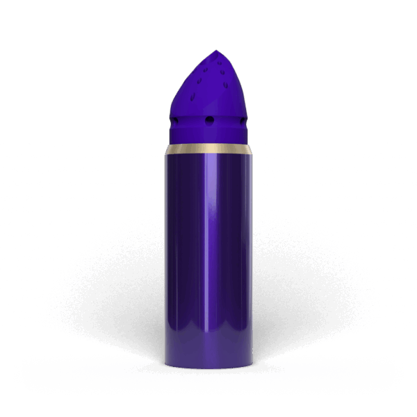 PilotGuideShoe LTR 0000