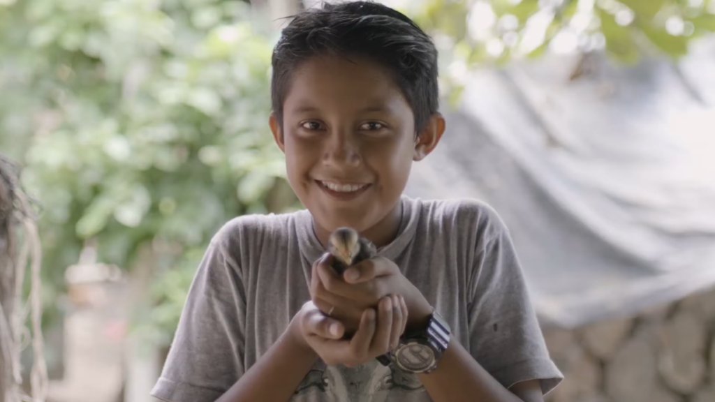 Screenshot 2025 12 17 at 5.50.15 PM